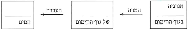 (בספר שלוש תמונות: ילד גולש בסקייטבורד, ילדה מחליקה ברולרבליידס, קוף יושב על ענף ואוכל פירות).